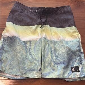 Quiksilver Oceanic Wave Board Shorts